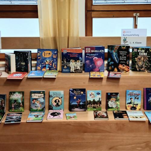 Buchausstellung25