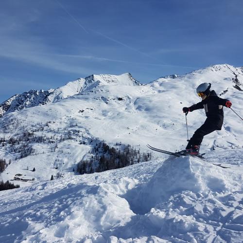 Skispringer 1