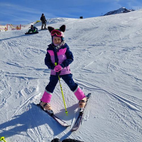 Skitag