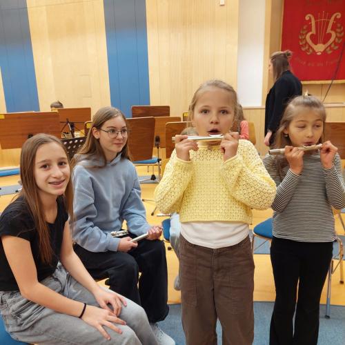 Instrumentenkarussell