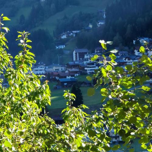 am Talwanderweg