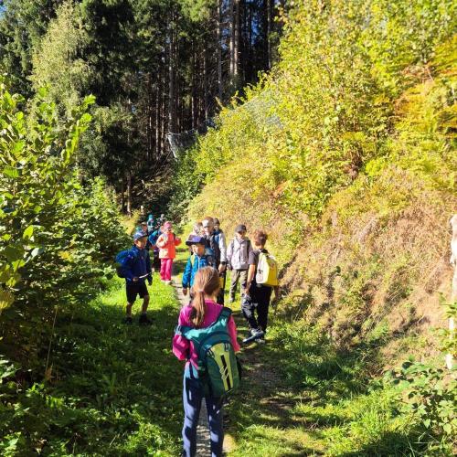 am Talwanderweg