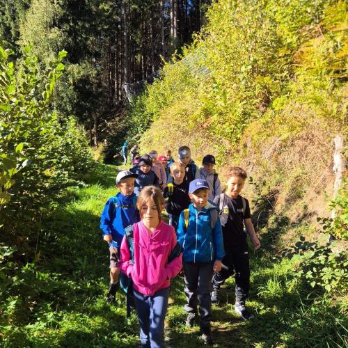 am Talwanderweg
